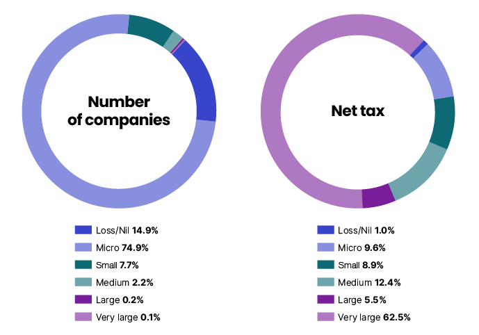 Chart 14 shows the distribution of companies and net tax, by company size, for the 2021–22 income year.The link below will take you to the data behind this chart as well as similar data back to the 2009–10 income year.
