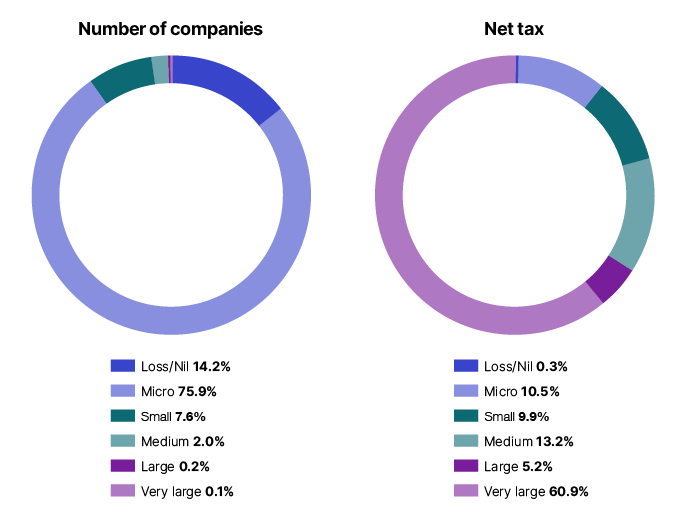 Chart 14 shows the distribution of companies and net tax, by company size, for the 2020–21 income year. The link below will take you to the data behind this chart as well as similar data back to the 2009–10 income year.